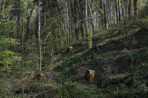 Ein Neubeginn nach dem Sturm