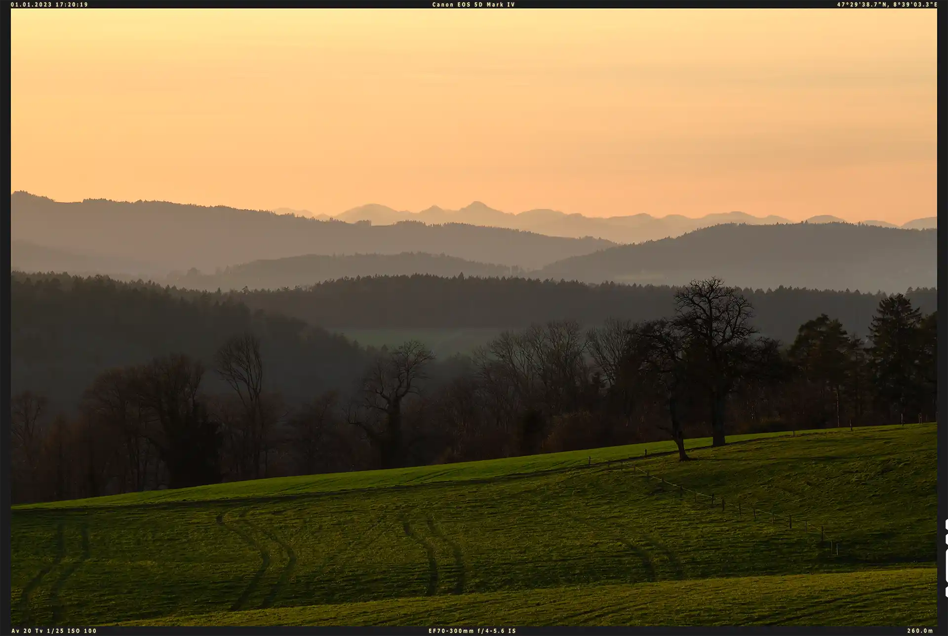 Wiese und Berge im Zürcher Unterland