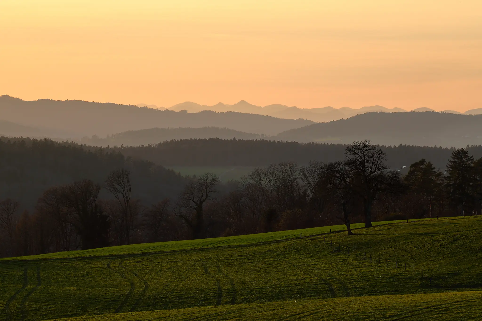 landschaft